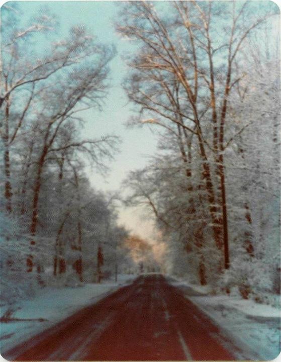 Wild World – Cat Stevens “Now that I’ve lost everything to you” | declassified median probable tempo&nbsp;maps